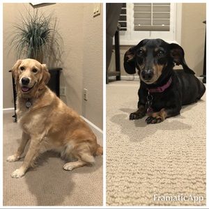 Meet your Posher, Laura